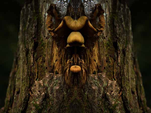 Richard Baim_Untitled_Inkjet_Print_17x22__2014