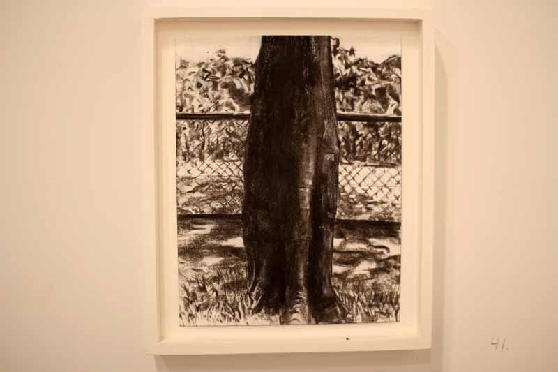 Joshua Rosenblatt
