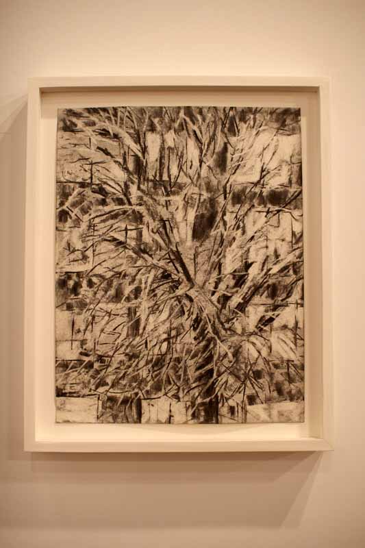 Joshua Rosenblatt